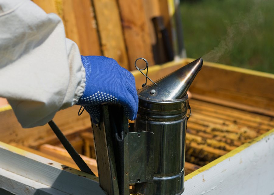Local exterminator Delaware
