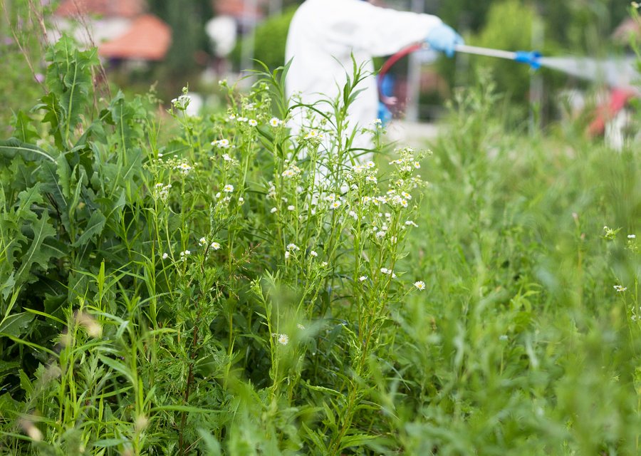 Advanced Pest Control Systems Inc pest control work in Ann Arbor