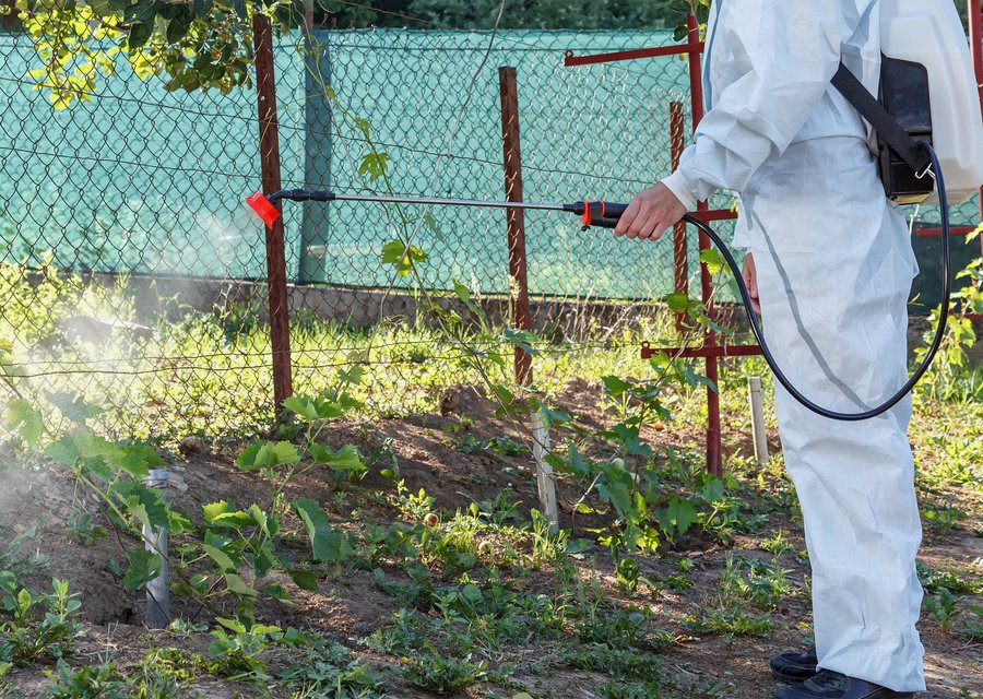 Country Side Pest Control pest control work in Chandler