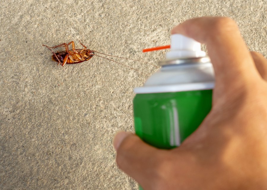Pest treatment in Penn, PA