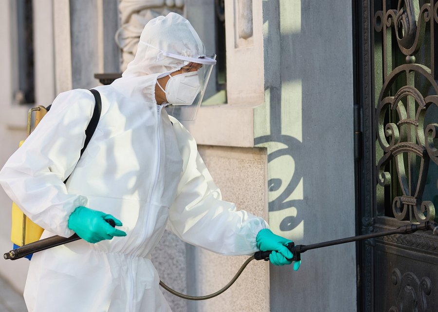 Pest treatment in Coquille, OR