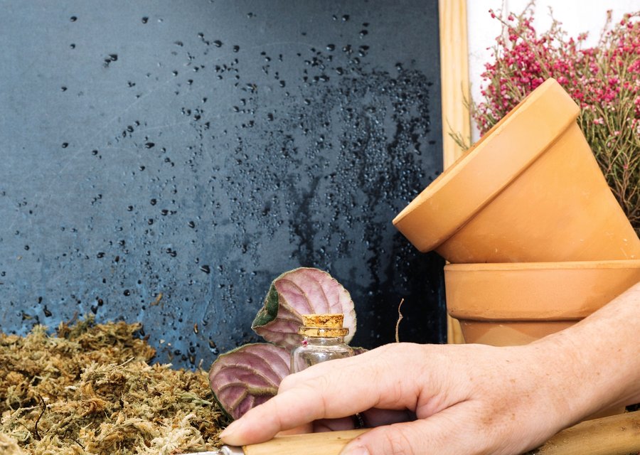 Pest treatment in Crivitz, WI