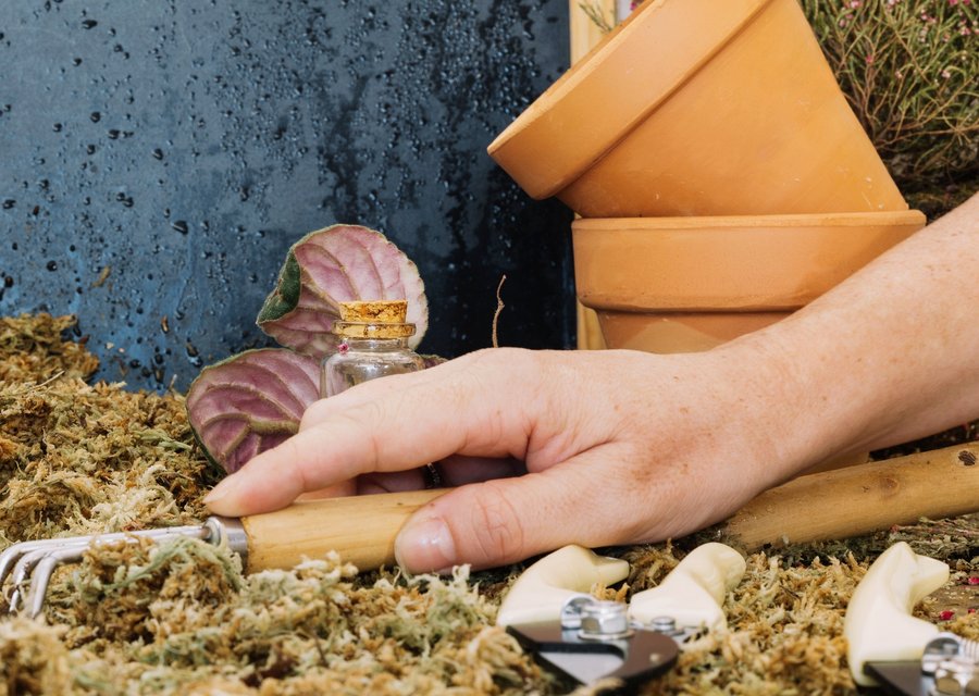 Pest treatment in Elburn, IL