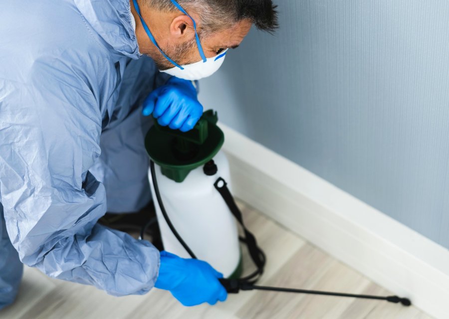 Environment First Pest Management pest control work in Avon