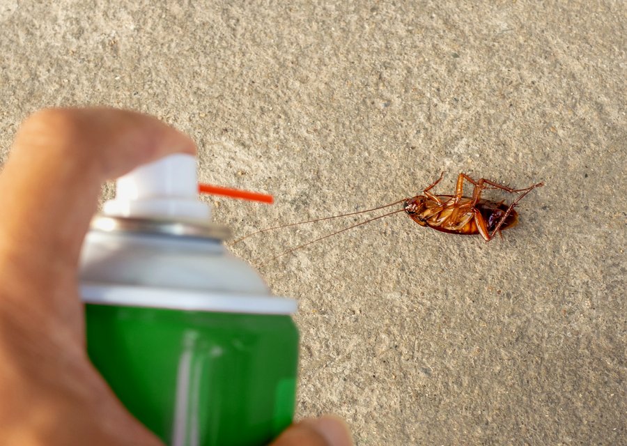 Local exterminator Glencoe