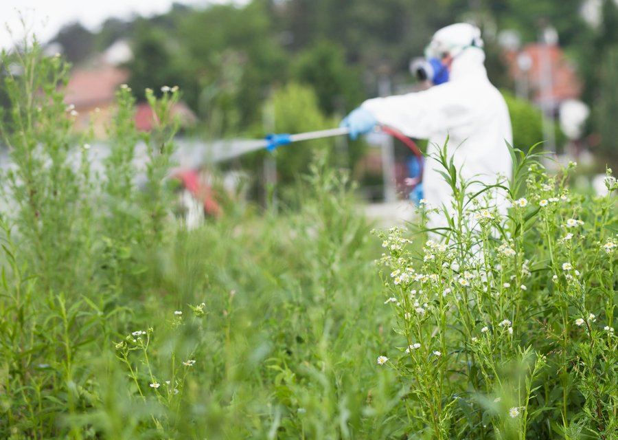 Mosquito Boss pest control work in Boylston