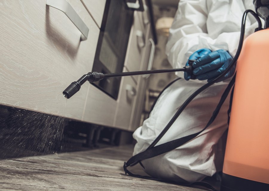 Pest treatment in Dyer, IN