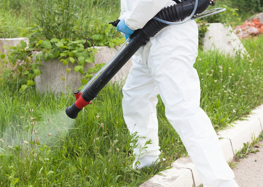 Critter Control Central pest control work in Mt Olive