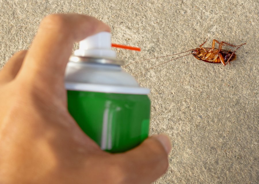 Local exterminator Conway