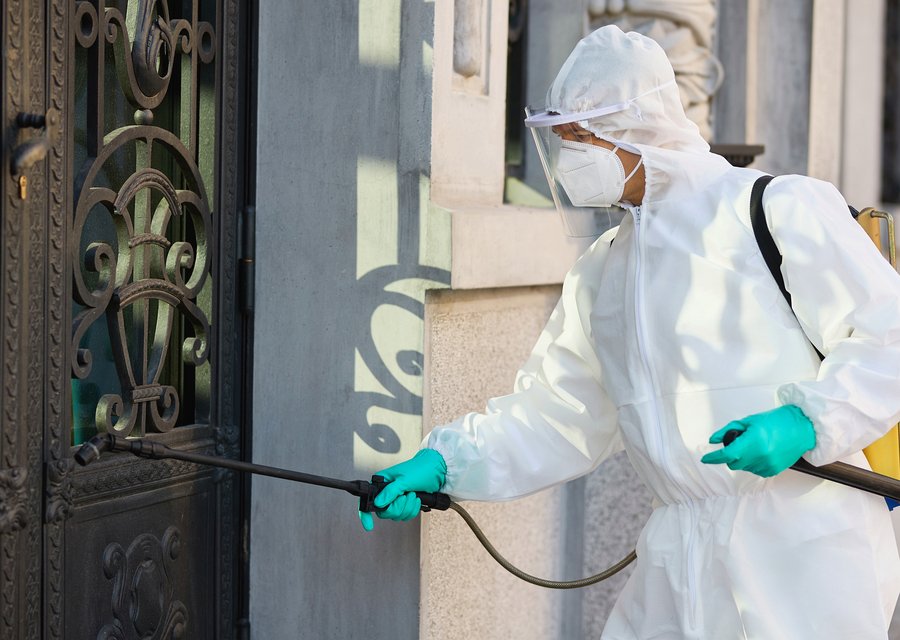 Pest treatment in Bullard, TX