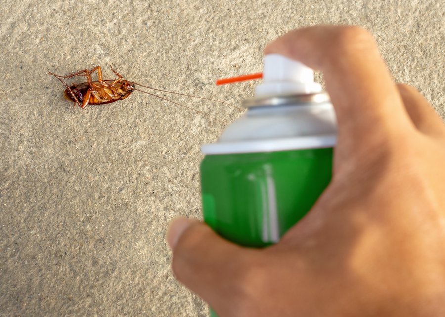 Local exterminator Bullard