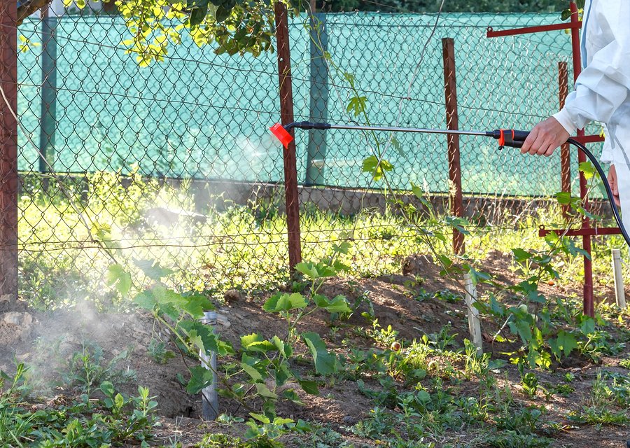 Dunagin Pest Solutions LLC pest control work in Glen Cove