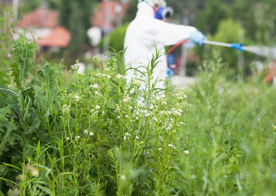 Moore Control Exterminating Co pest control work in Genoa
