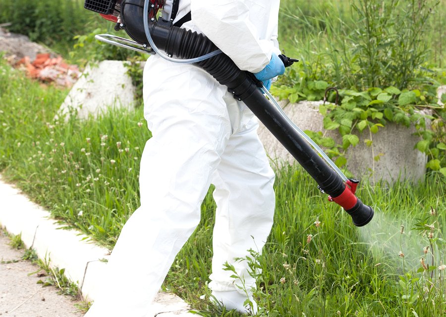 Pest treatment in Taunton, MA