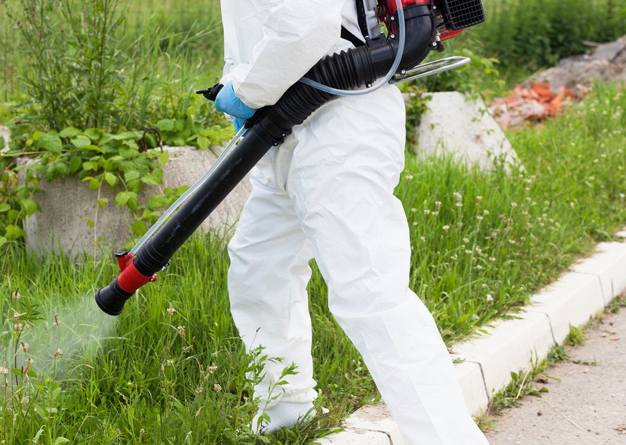 Local exterminator Gibsonton