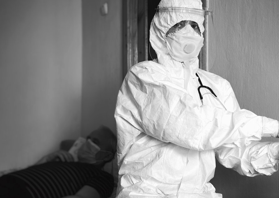 Pest treatment in New York, NY