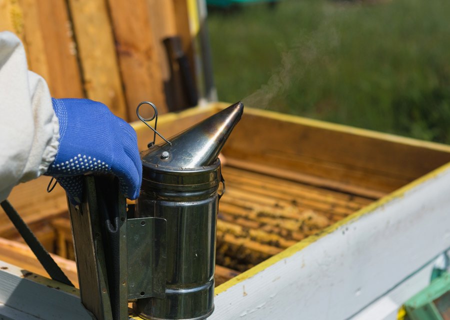 Braman Termite & Pest Elimination pest control work in Camby