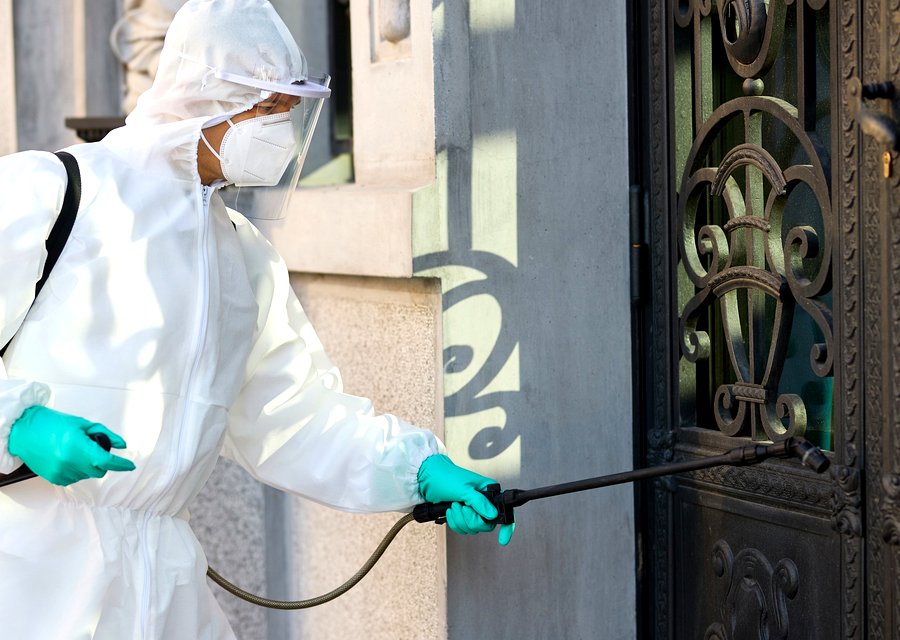 Pest treatment in Camby, IN