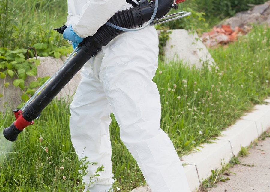 Alpine Termite & Pest Control pest control work in Clemmons