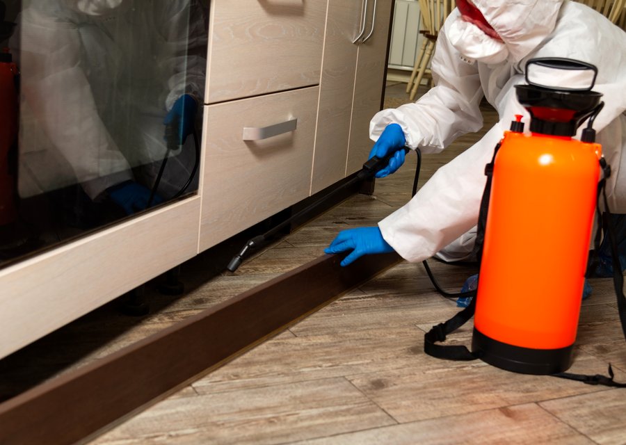 Pest treatment in Dearborn Heights, MI
