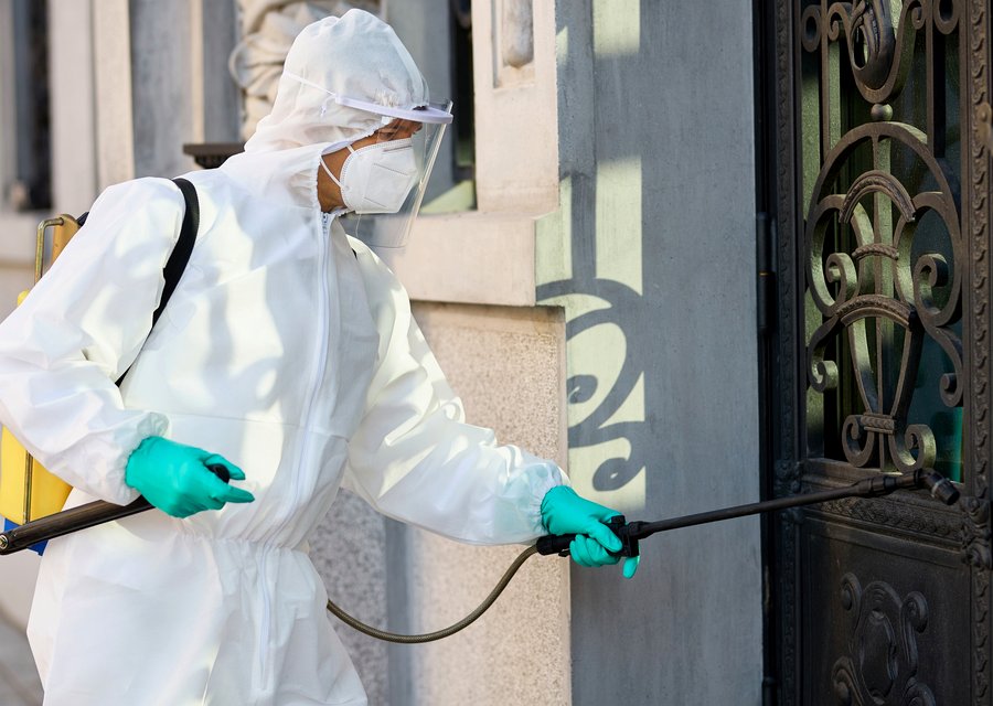 Pest treatment in Dillsburg, PA