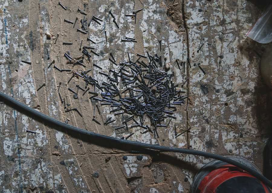 Local exterminator Lower Southampton