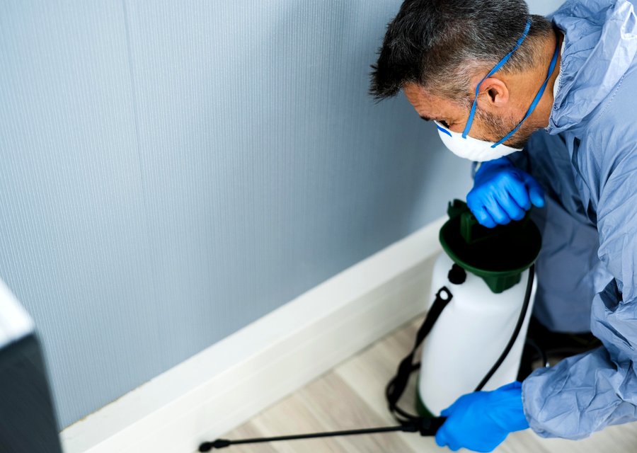 Bell Environmental Services Inc pest control work in Los Angeles