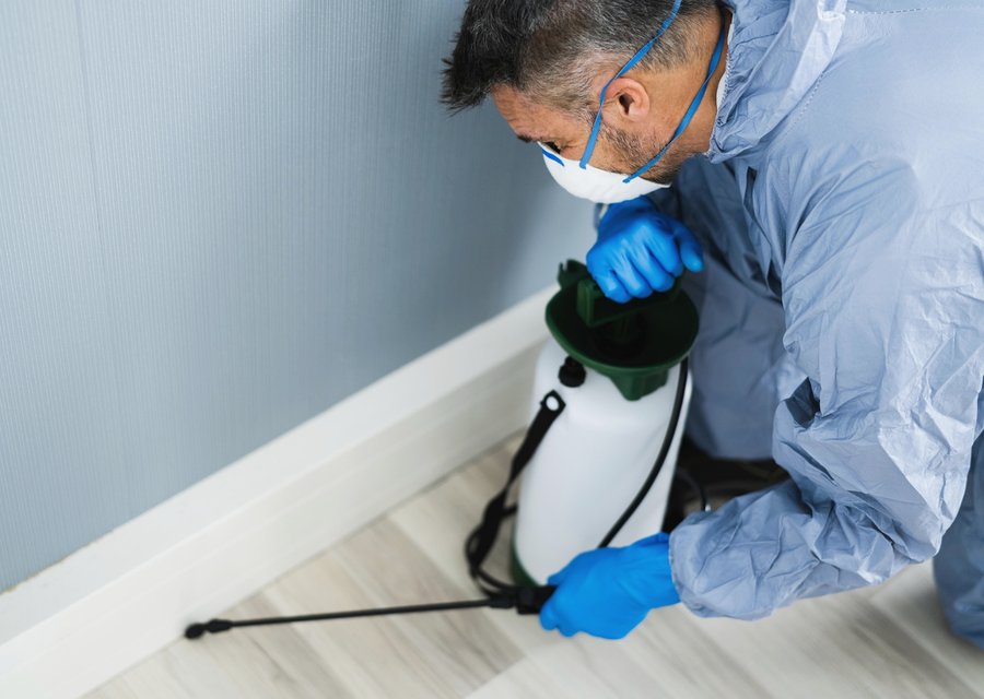 Local exterminator Upper Macungie