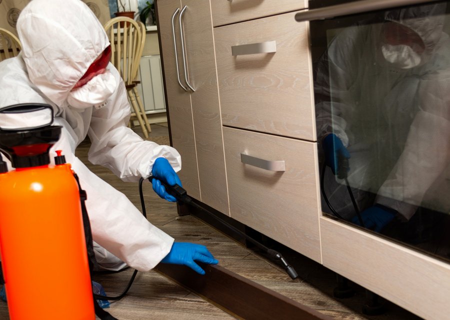 Pest treatment in Forest City, NC