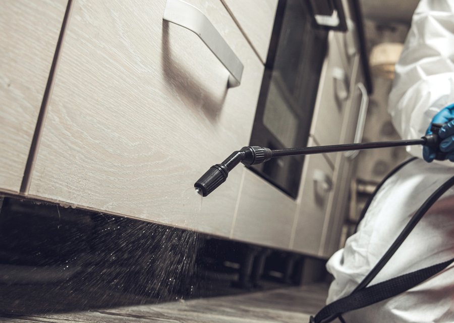 Pest treatment in Eaton, MI
