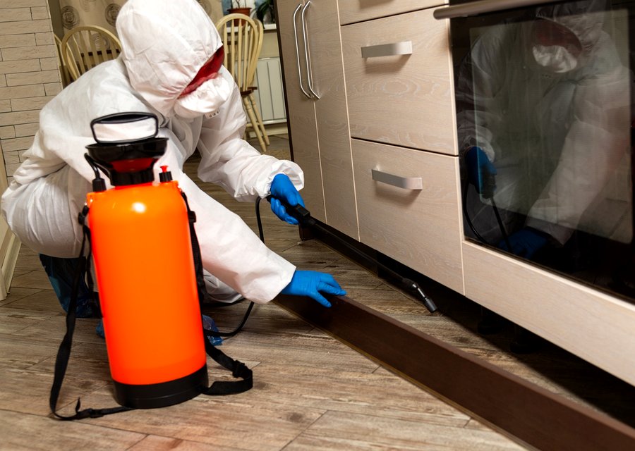 Pest treatment in Cheltenham, PA
