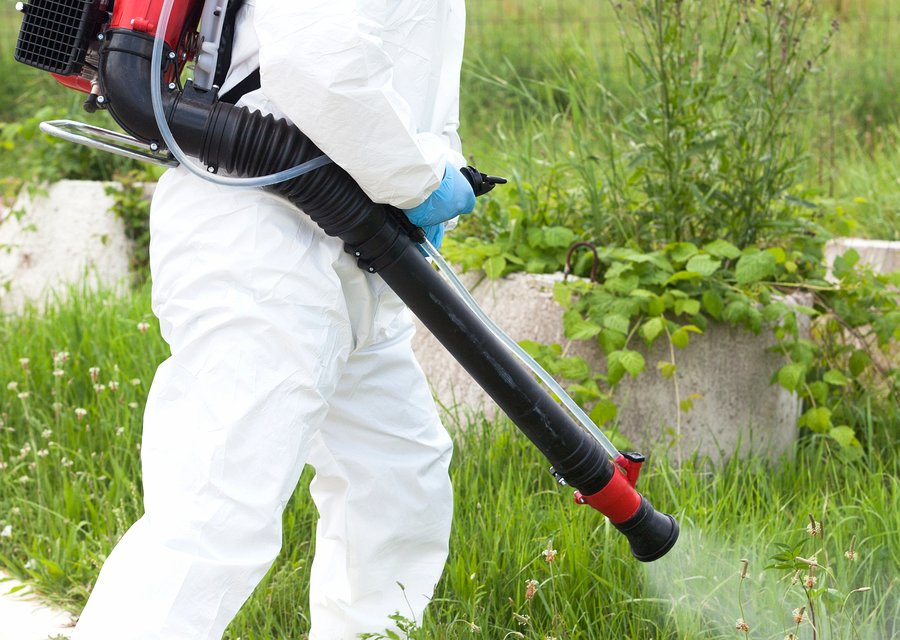 Pests Go LLC pest control work in Bryceville