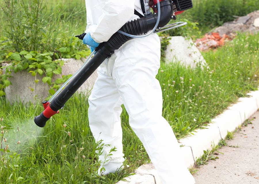 Pest treatment in Duncan, SC