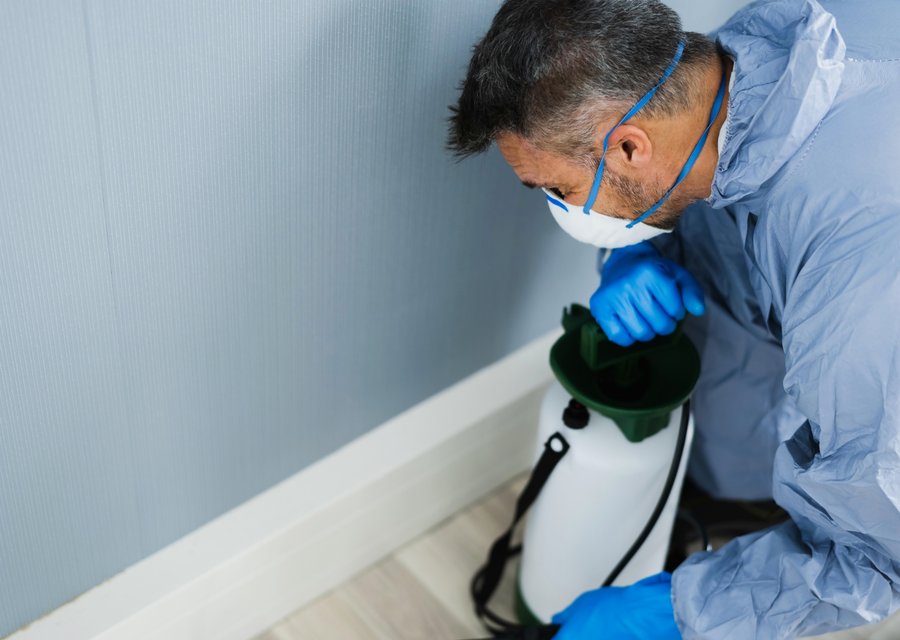 Milford Exterminating pest control work in Germanton
