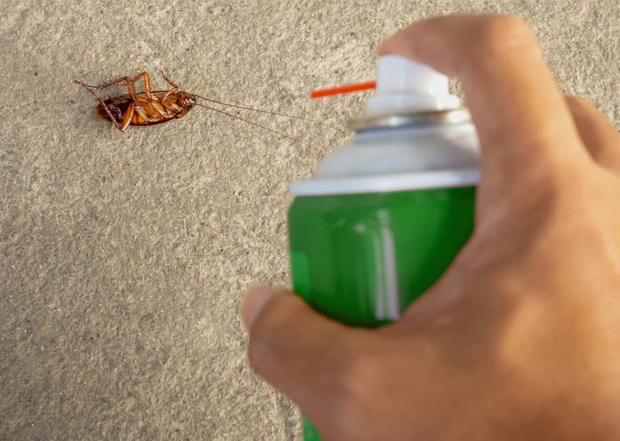 Outer Banks Pest Control pest control work in Egg Harbor