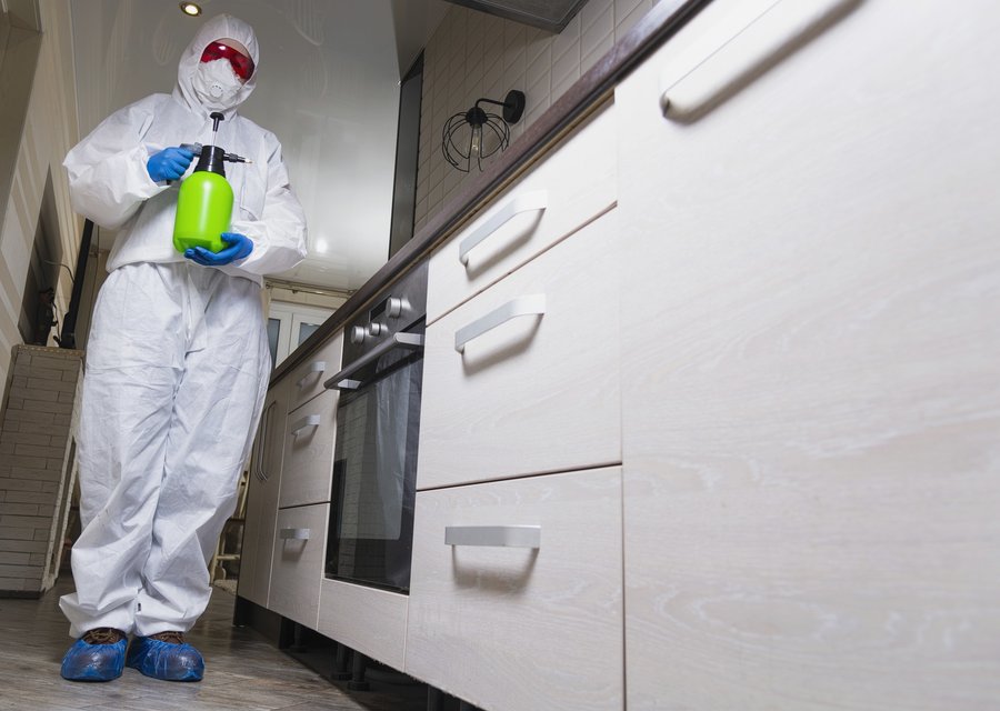 Local exterminator Cleburne
