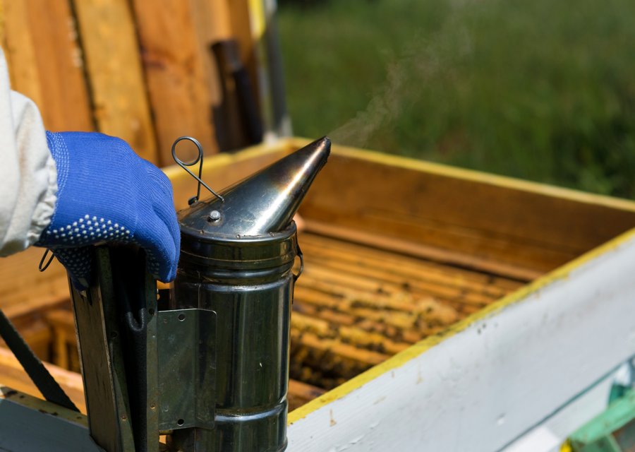 Paradise Pest Control pest control work in Cudahy