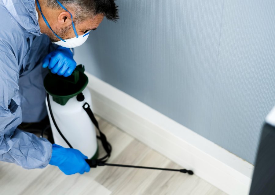 Pest treatment in Cudahy, WI