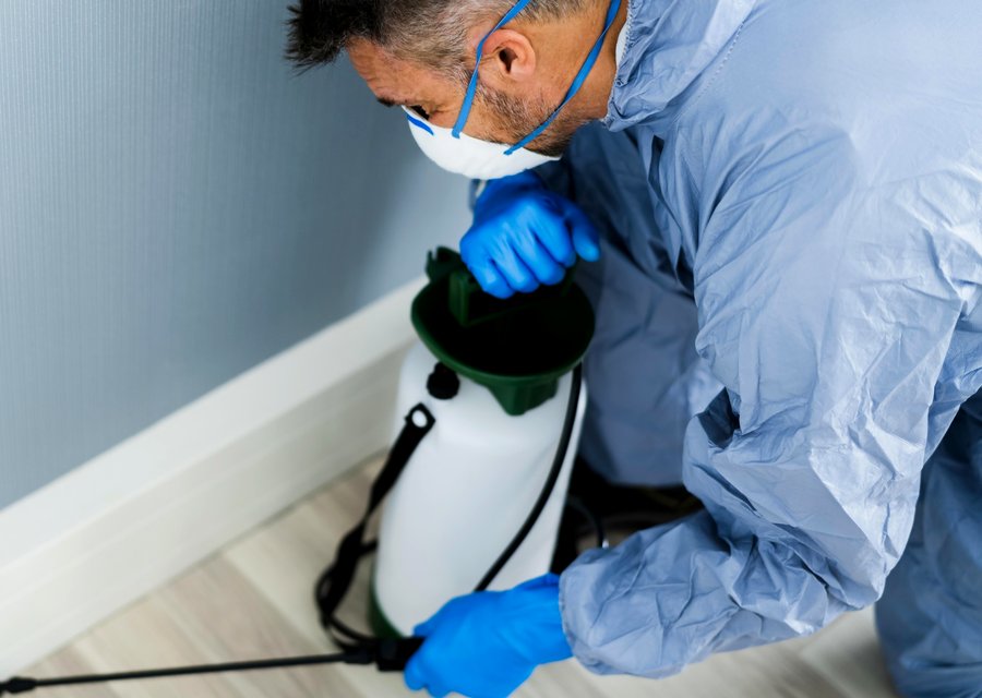 Pest treatment in Brookhaven, NY