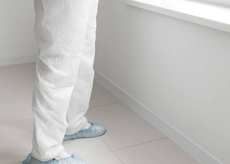 Pest Assassins pest control work in Crestwood