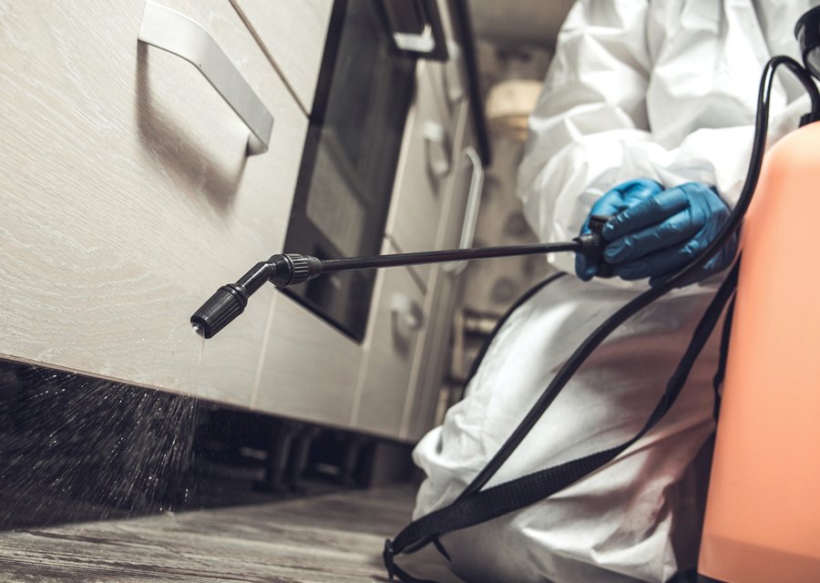 Local exterminator Crestwood