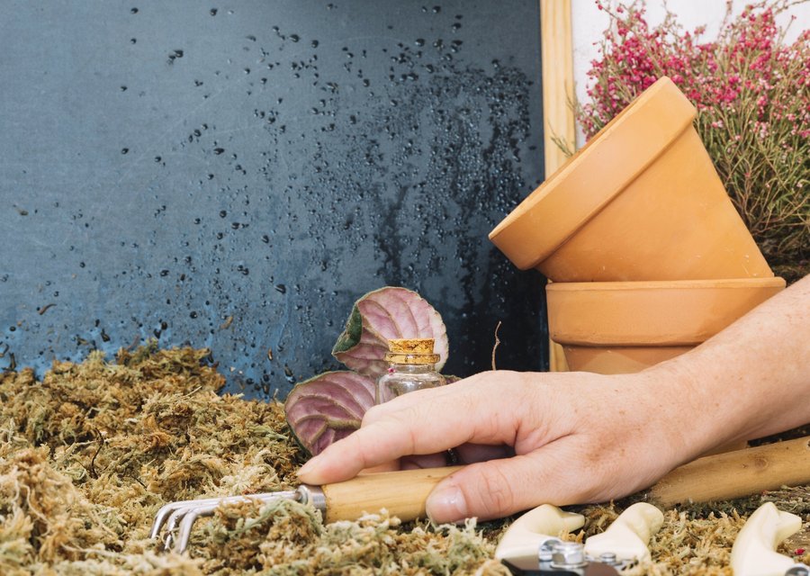 Pest treatment in Freehold, NJ