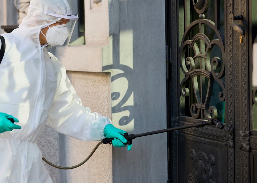 Local exterminator Freehold