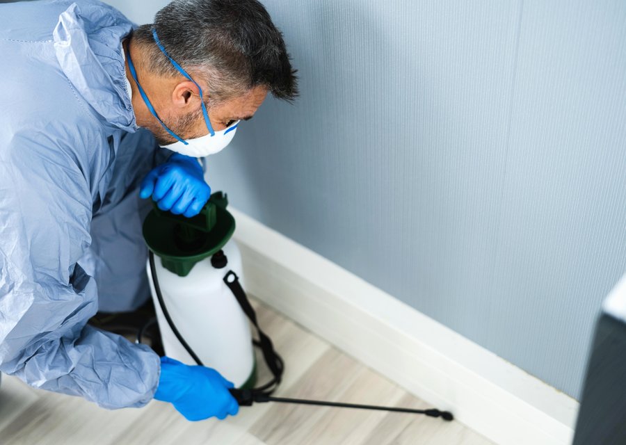 Pest treatment in Grand Saline, TX