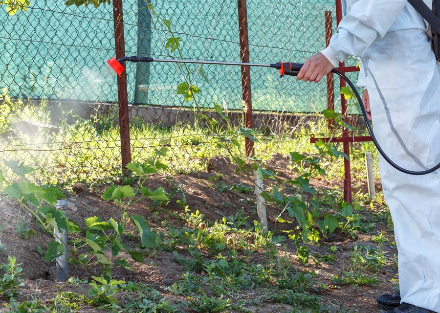 Mark Whipple Pest Control pest control work in Baltimore