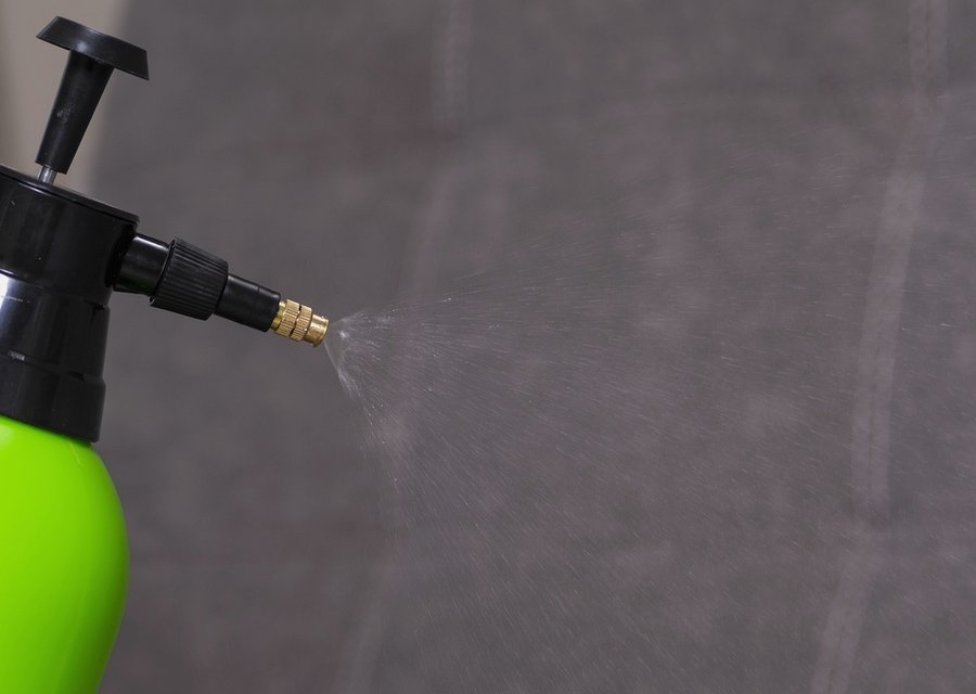 Pest treatment in Baltimore, MD