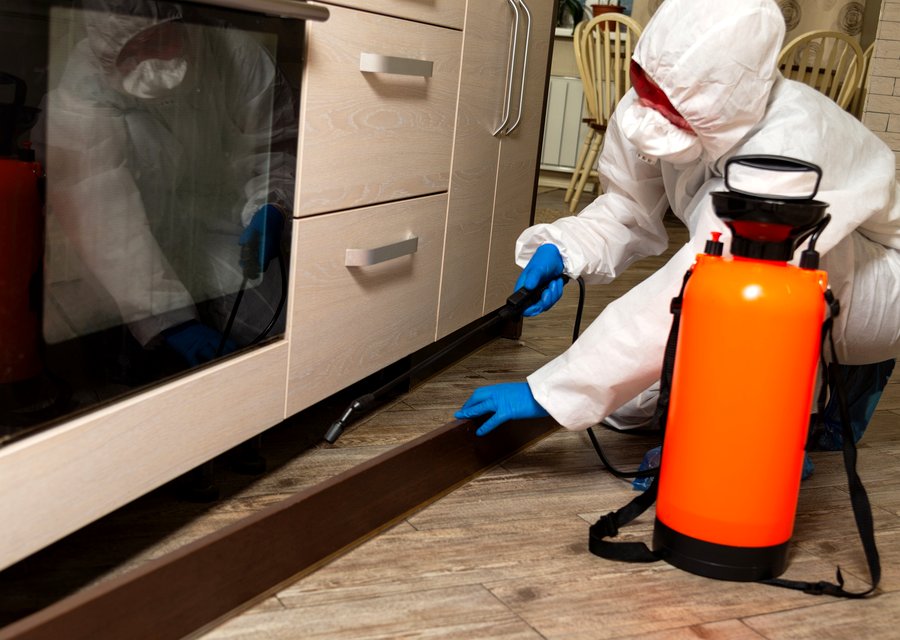 Local exterminator Baltimore