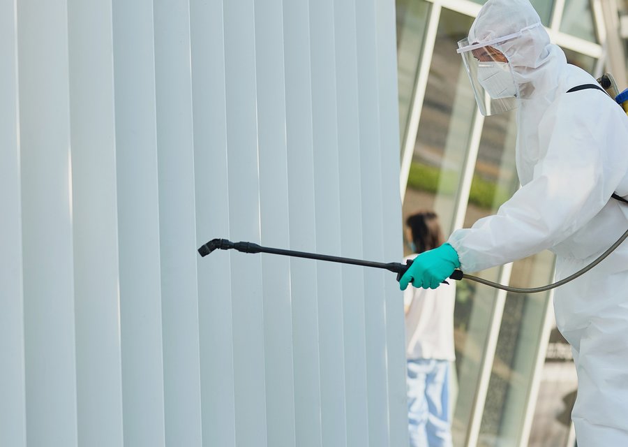 Pest treatment in Floral Park, NY