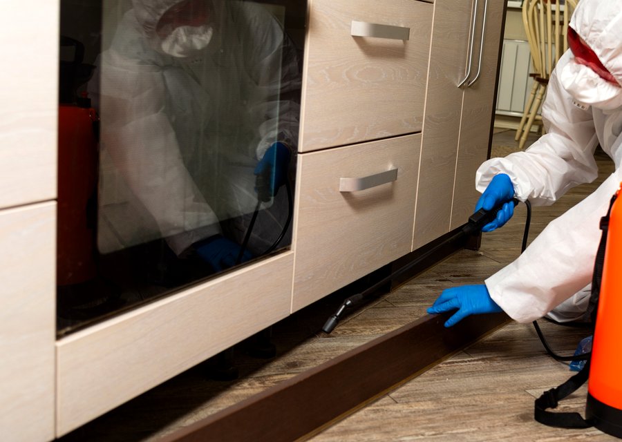 Pest treatment in Penn, PA