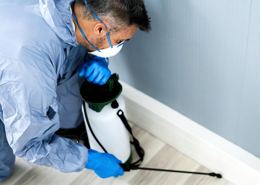 Local exterminator Gnadenhutten